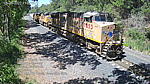 Click on thumbnail to enlarge 20220520110900a.jpg