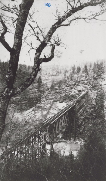 ncngrr_0106.jpg